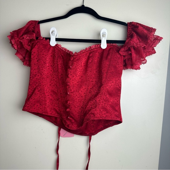Sugar Thrillz X Dolls Kill Red Sweet Talker Satin Brocade  Rose Corset NWT XXL - Picture 1 of 16